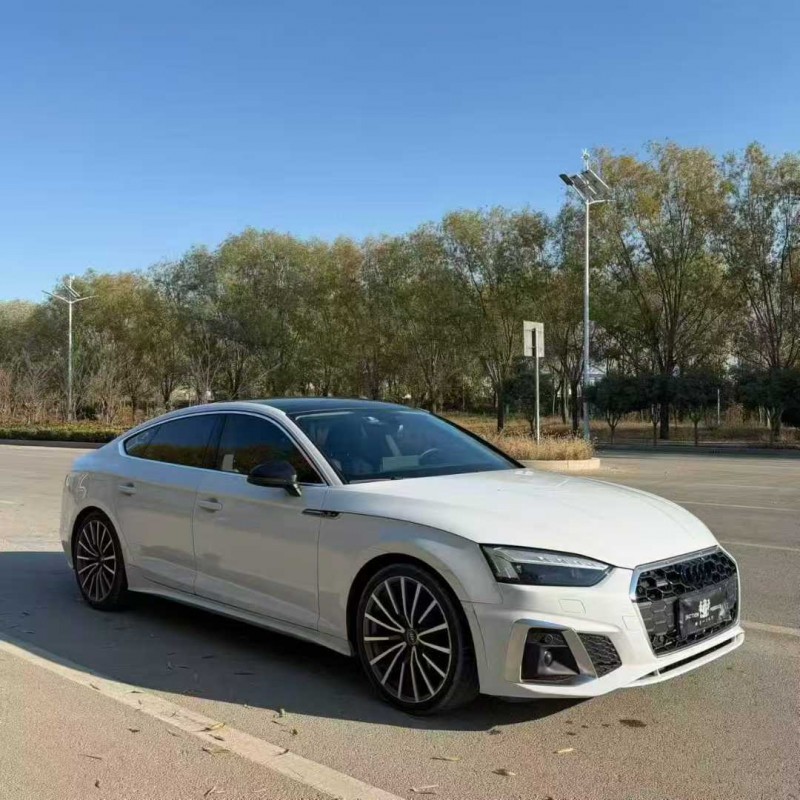 济南22年奥迪A52