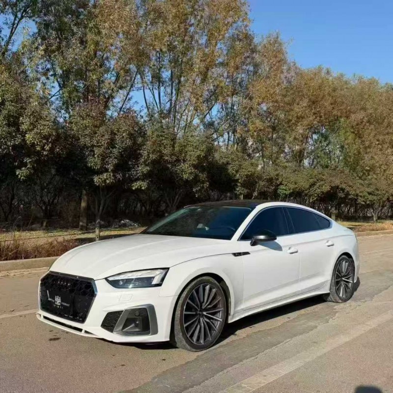 济南22年奥迪A53