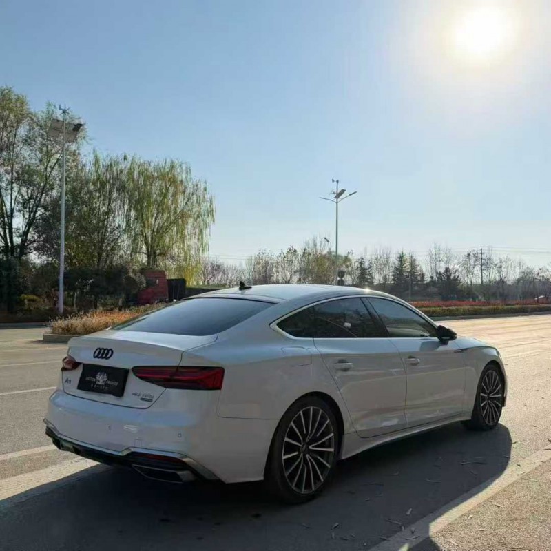 济南22年奥迪A58