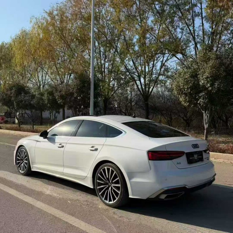 济南22年奥迪A59