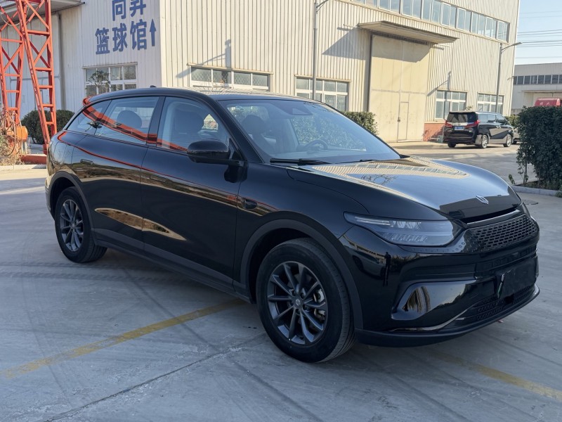 徐州24年零跑汽车C113