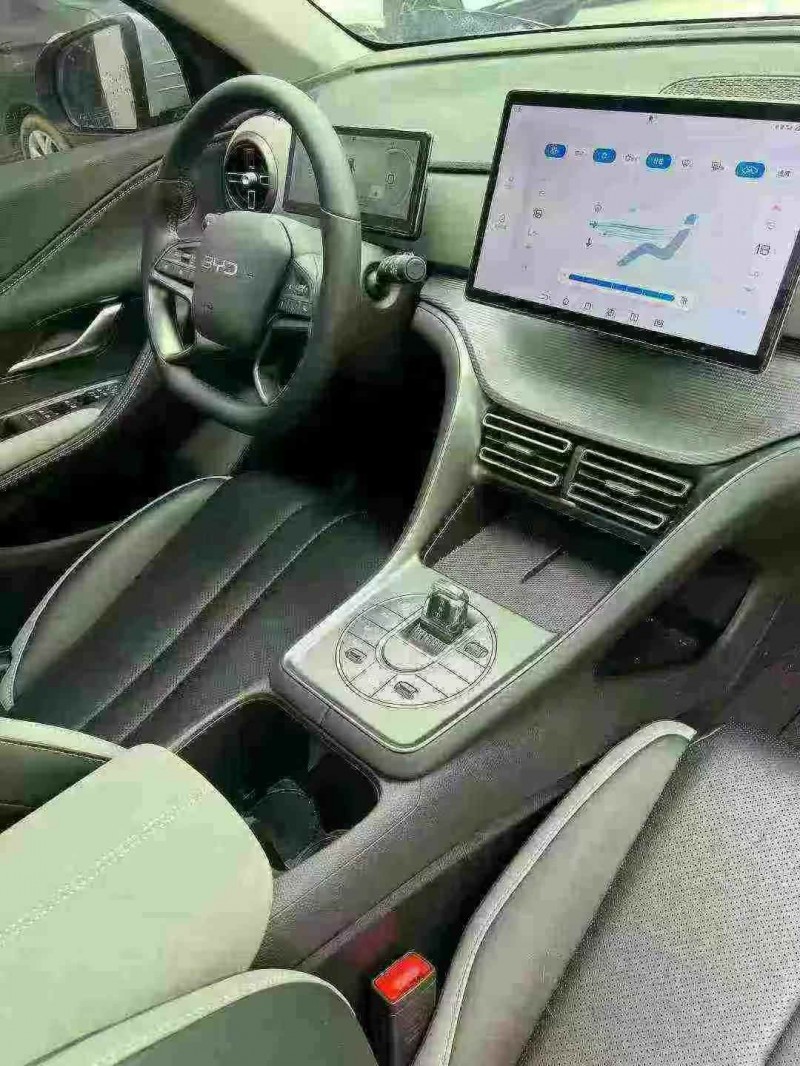 枣庄25年比亚迪海狮6