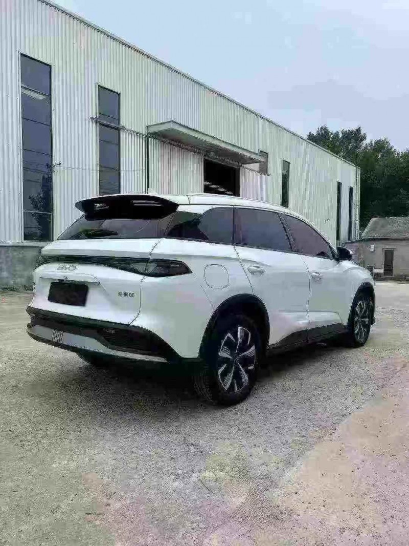 枣庄25年比亚迪海狮8