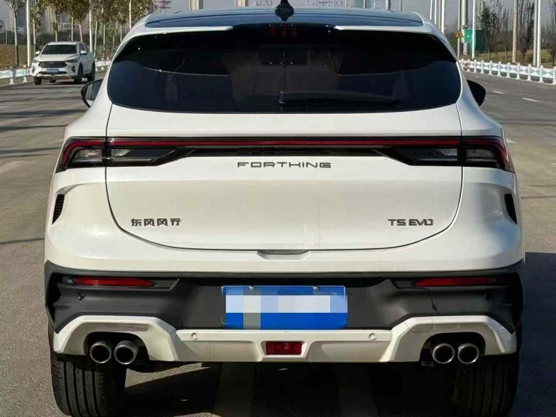 宝鸡24年东风风行9