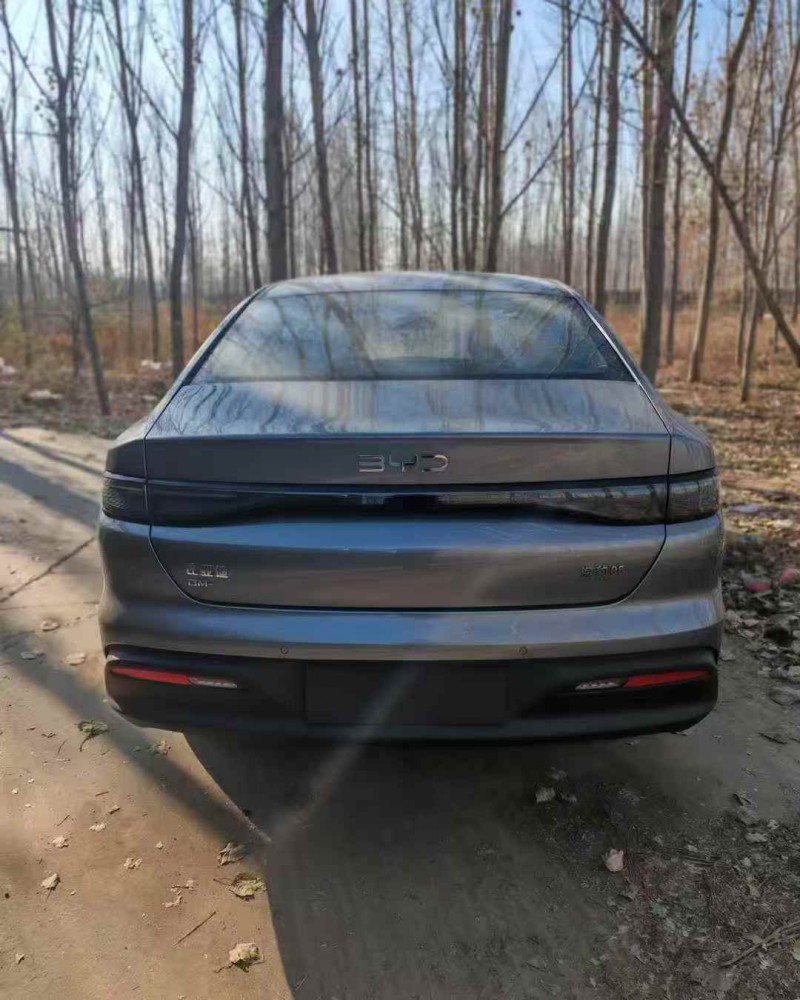 张家口25年比亚迪海豹9