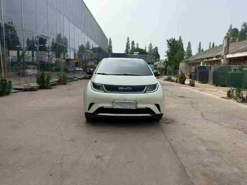 徐州23年比亚迪海豚1