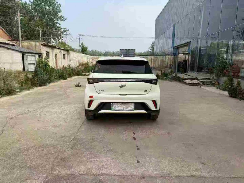 徐州23年比亚迪海豚9