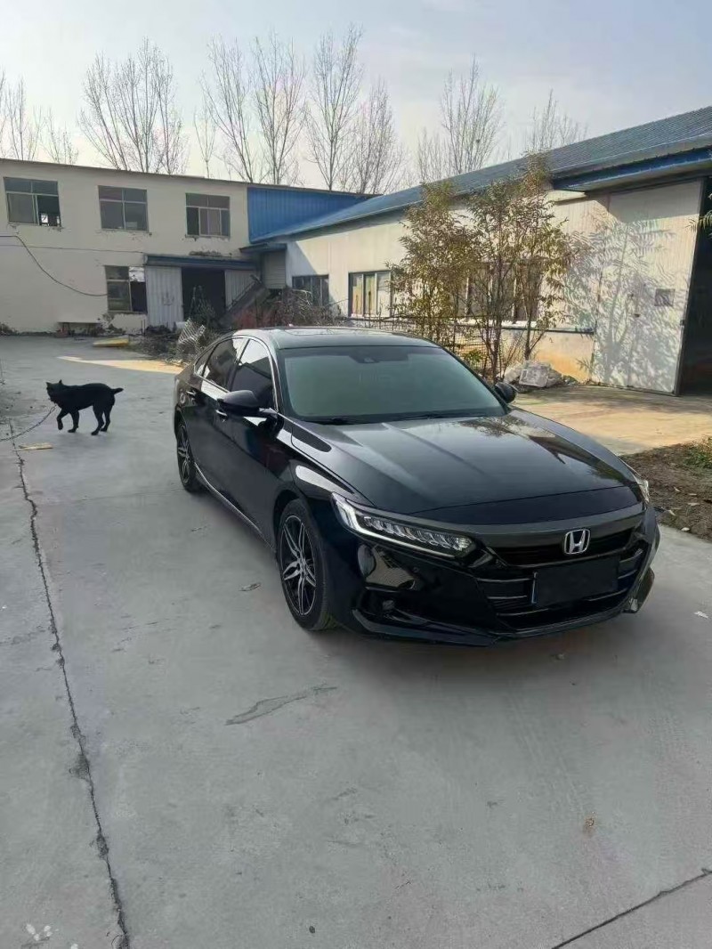 滨州23年本田雅阁3