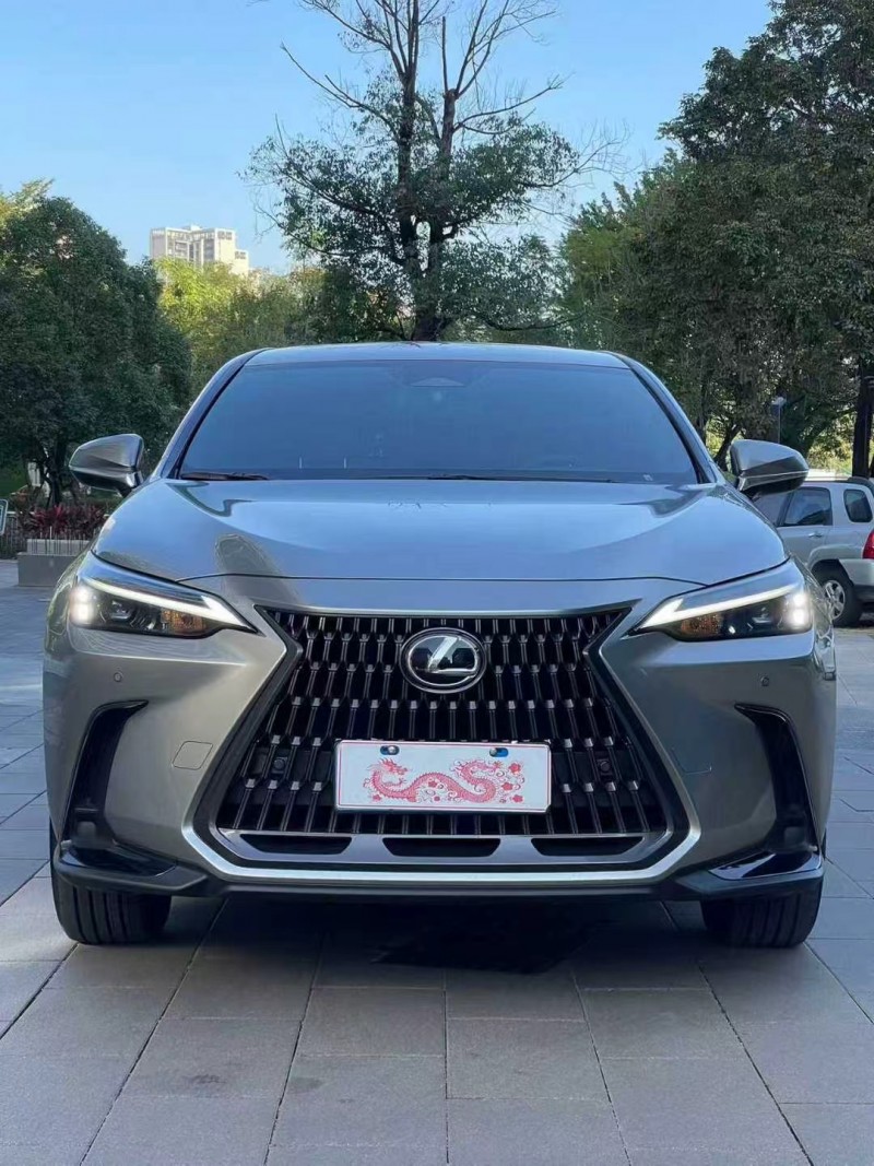 佛山24年雷克萨斯NX1