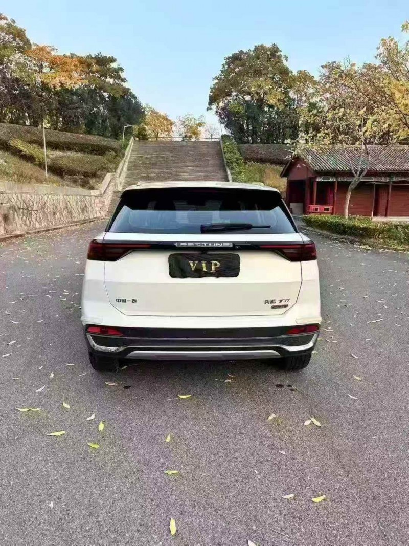 湖州23年奔腾T779