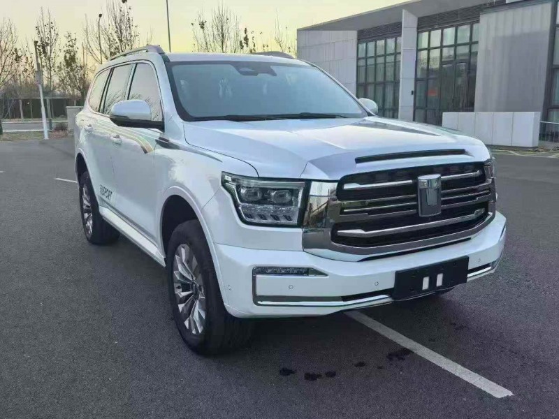 天津24年长城汽车坦克2