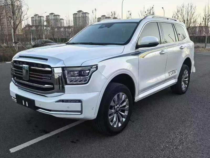 天津24年长城汽车坦克3