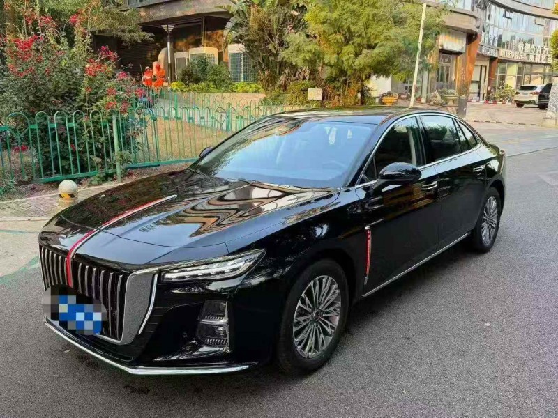 衡阳25年红旗H53