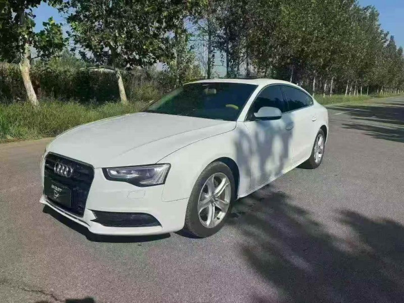 枣庄13年奥迪A52