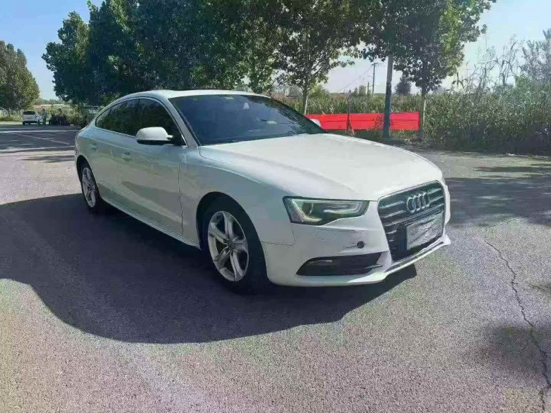 枣庄13年奥迪A53