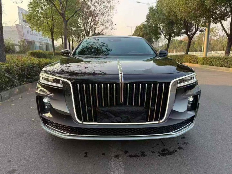 萍乡23年红旗H91