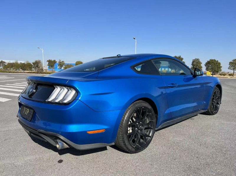 盐城20年福特野马9