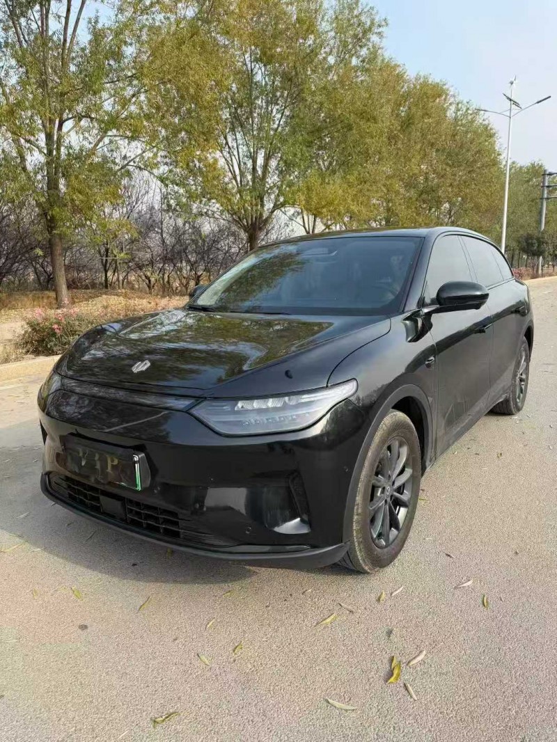 济宁24年零跑汽车C113