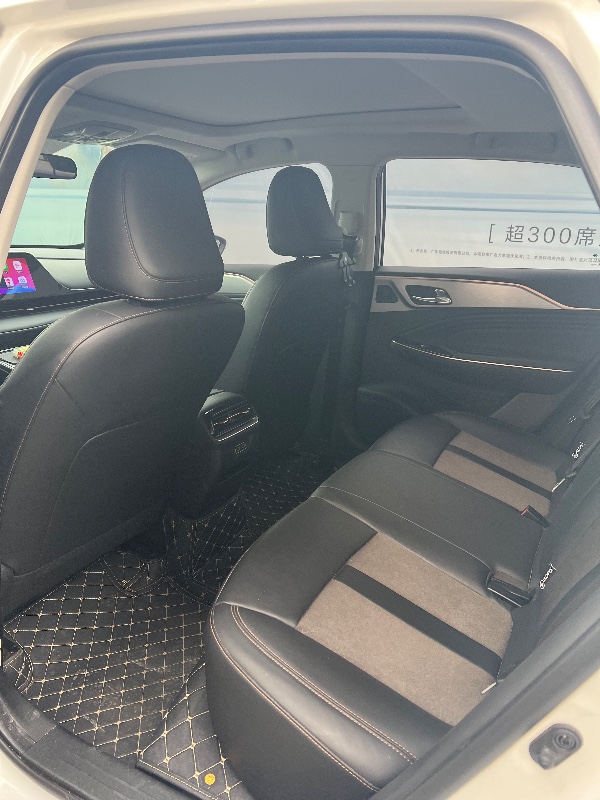 江门24年传祺埃安S5809