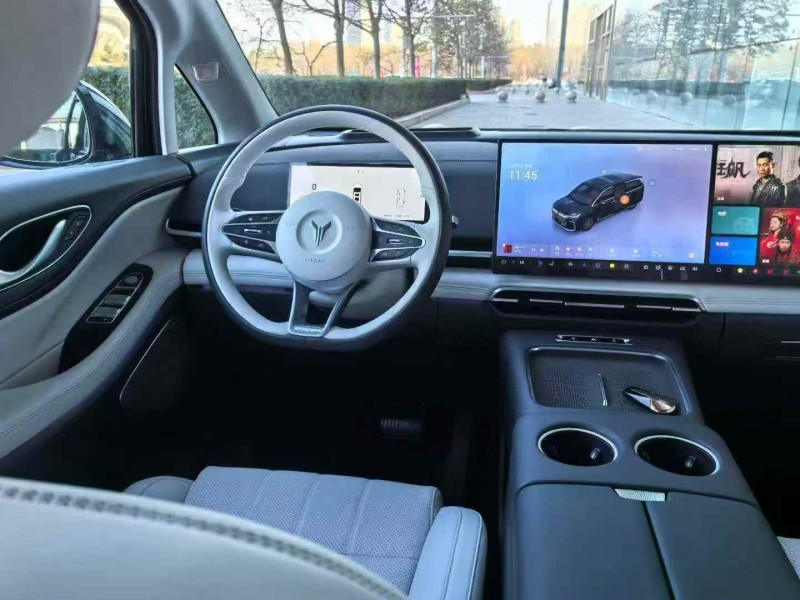 唐山25年岚图汽车梦想家5