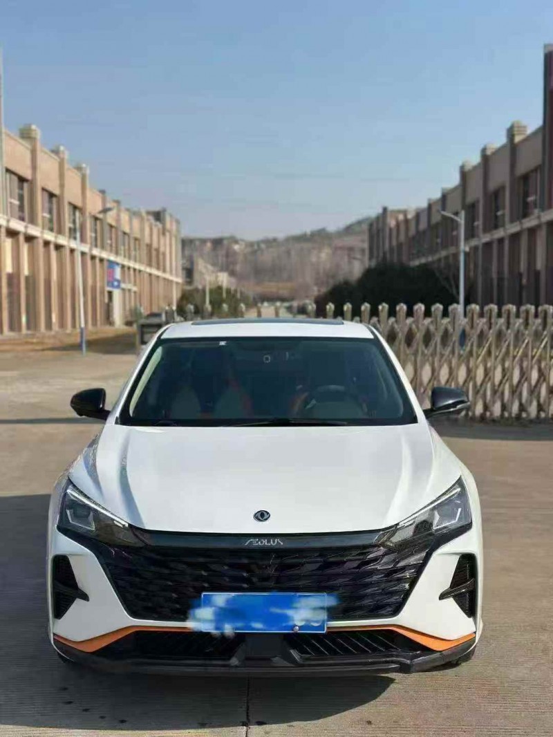 淄博23年东风奕炫1