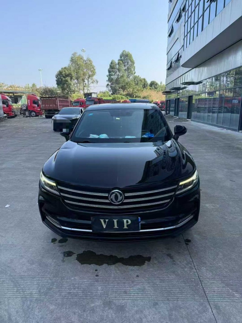 乐山21年东风风光1