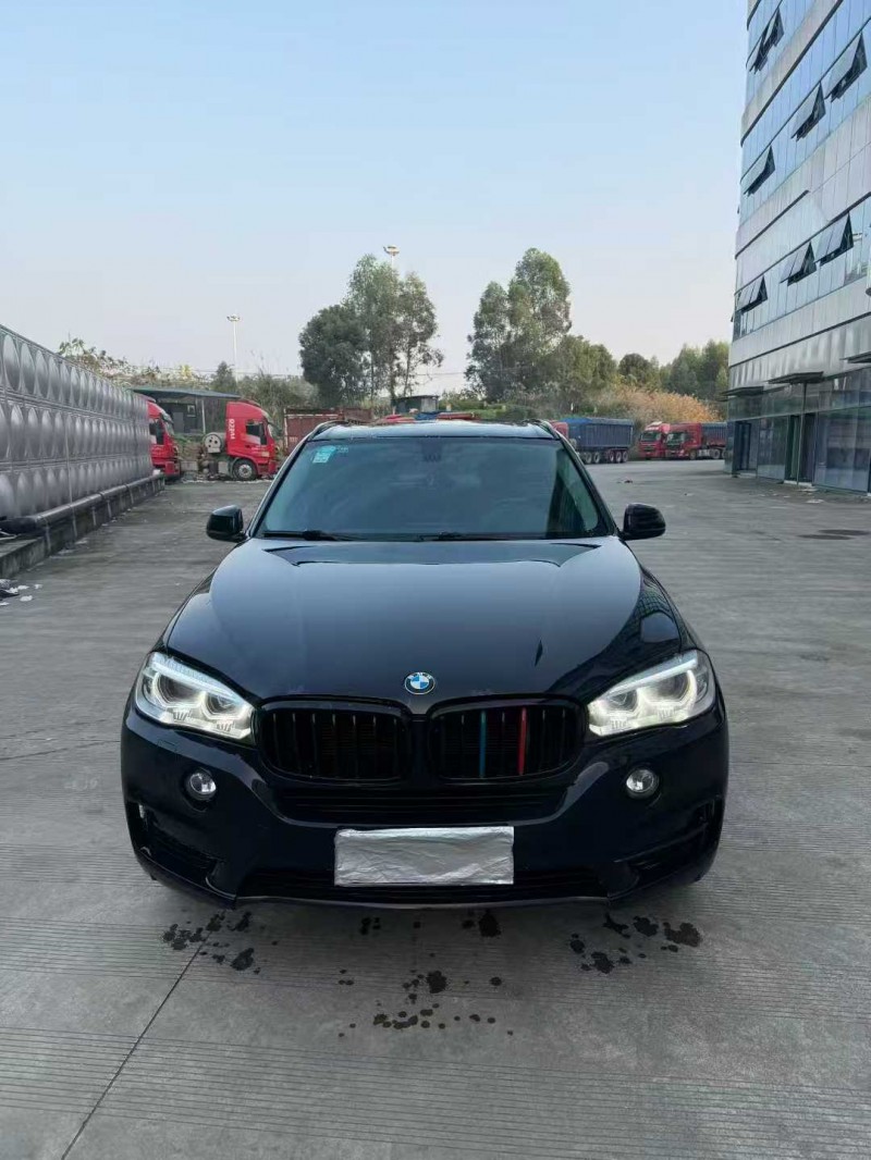 乐山16年宝马X51