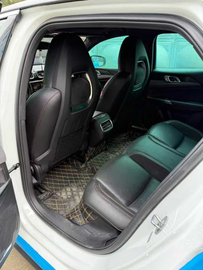 乐山20年领克034