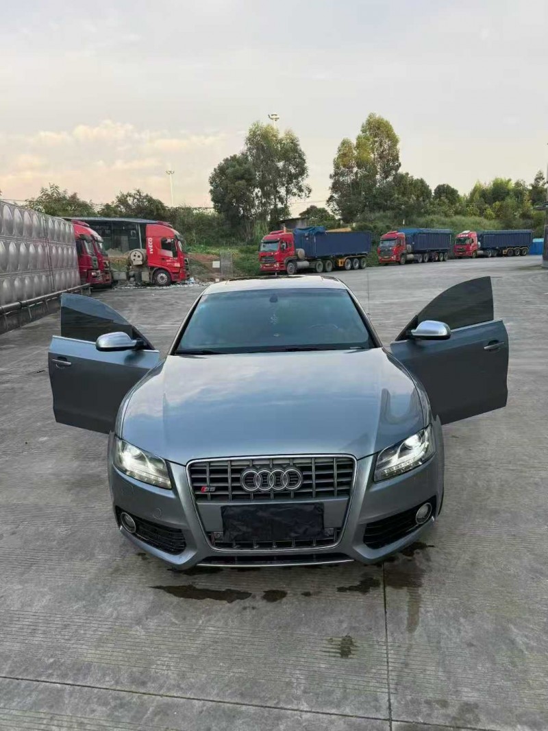 乐山10年奥迪S51