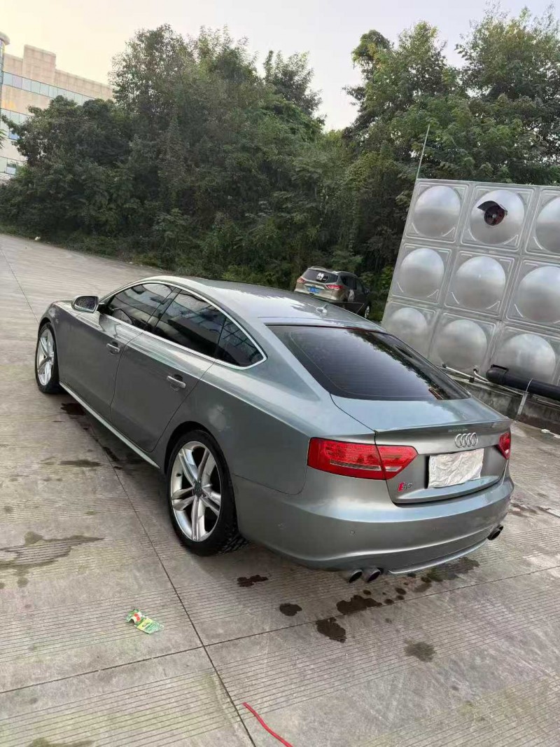 乐山10年奥迪S57