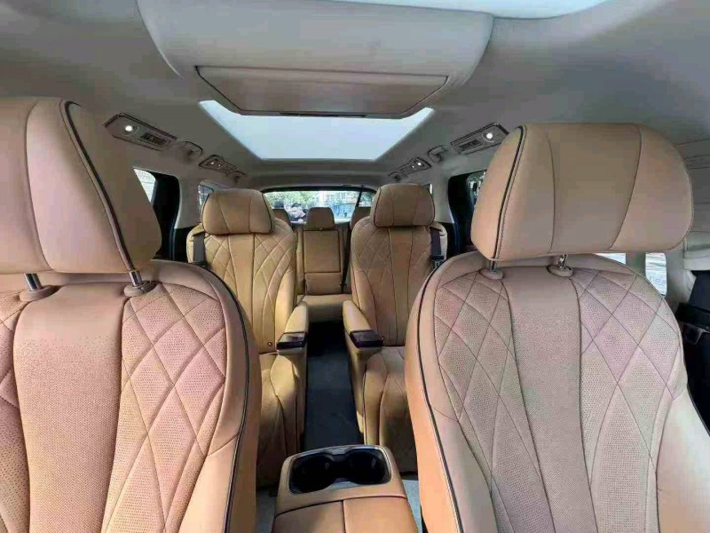 张家界25年腾势D95