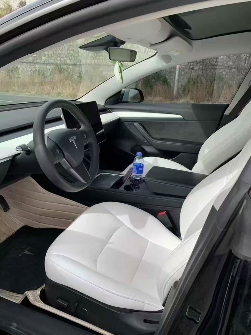 邯郸21年特斯拉MODEL 33