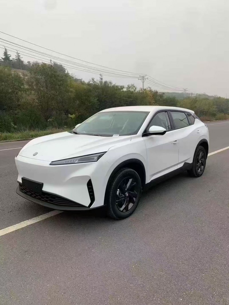 邯郸25年东风风神2