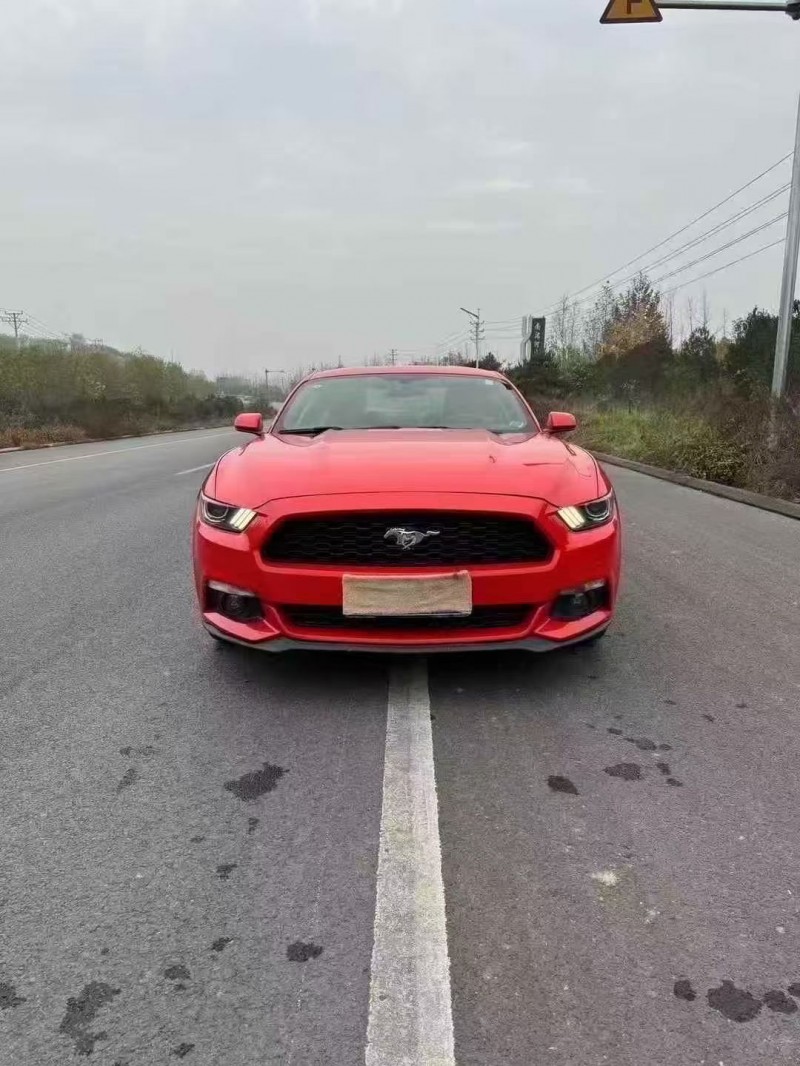 邯郸16年福特野马1