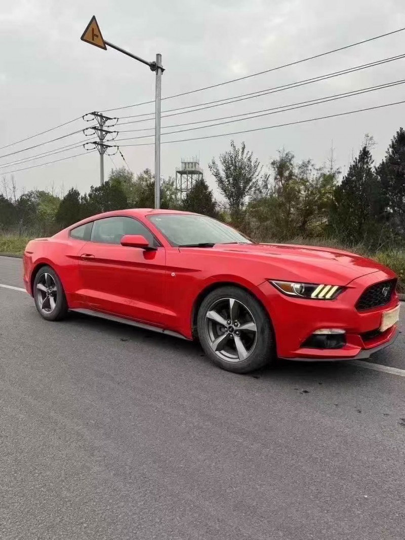 邯郸16年福特野马3