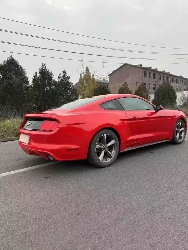 邯郸16年福特野马7