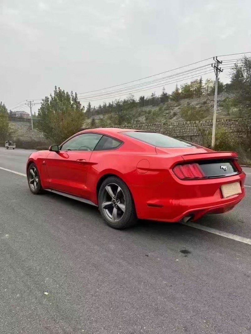 邯郸16年福特野马8