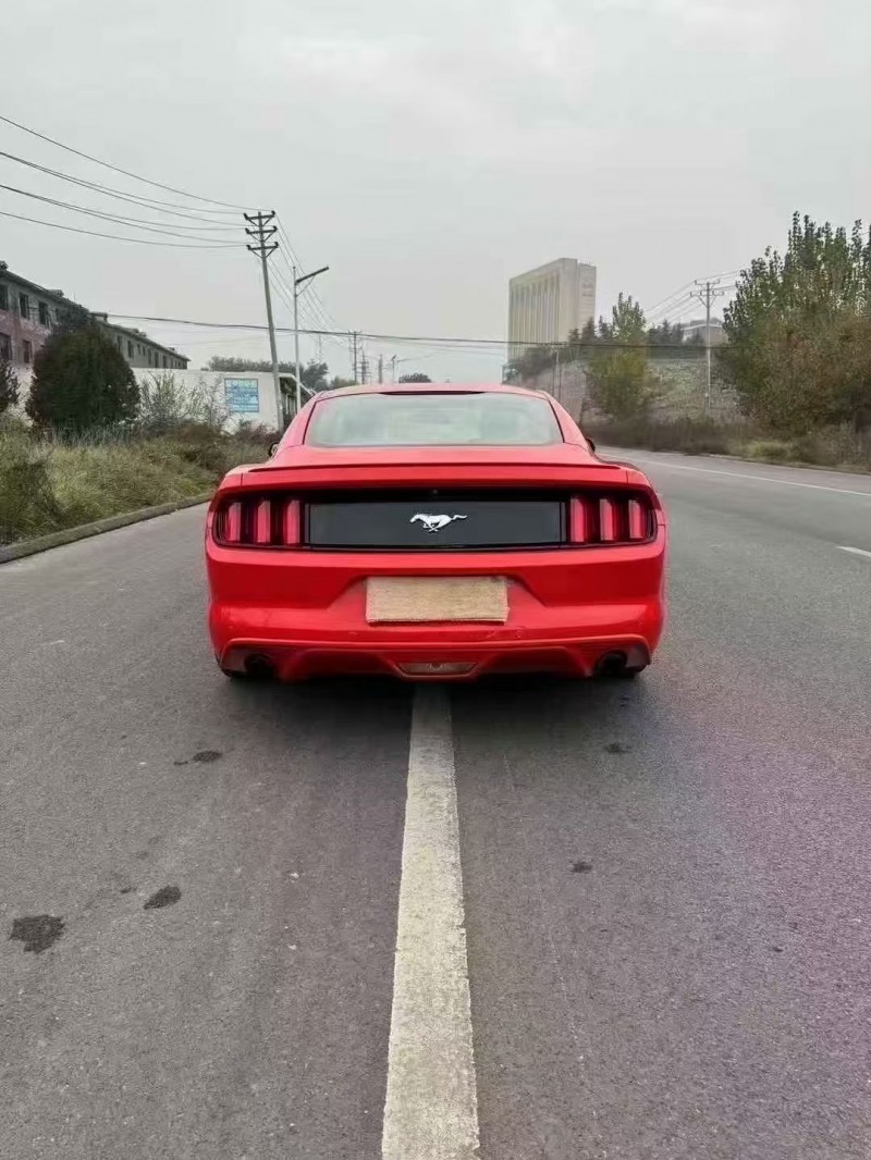 邯郸16年福特野马9