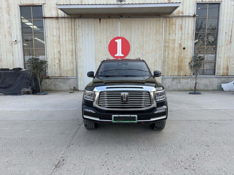 徐州24年长城汽车坦克1