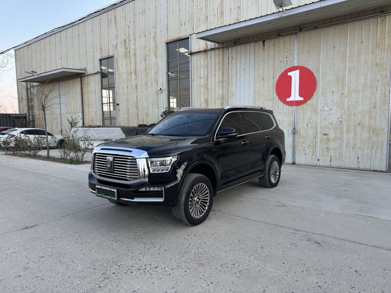 徐州24年长城汽车坦克2