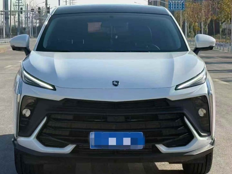 延安24年东风风行1