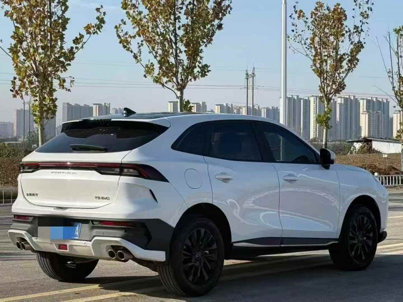 延安24年东风风行7