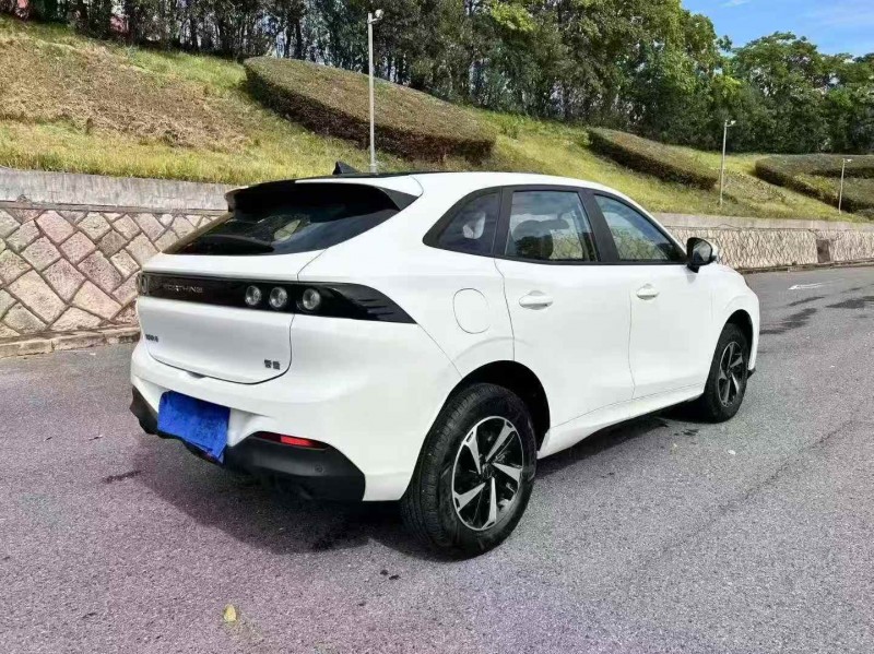 嘉兴24年东风风行8