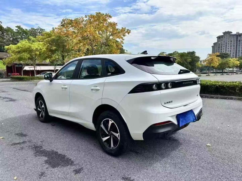 嘉兴24年东风风行9