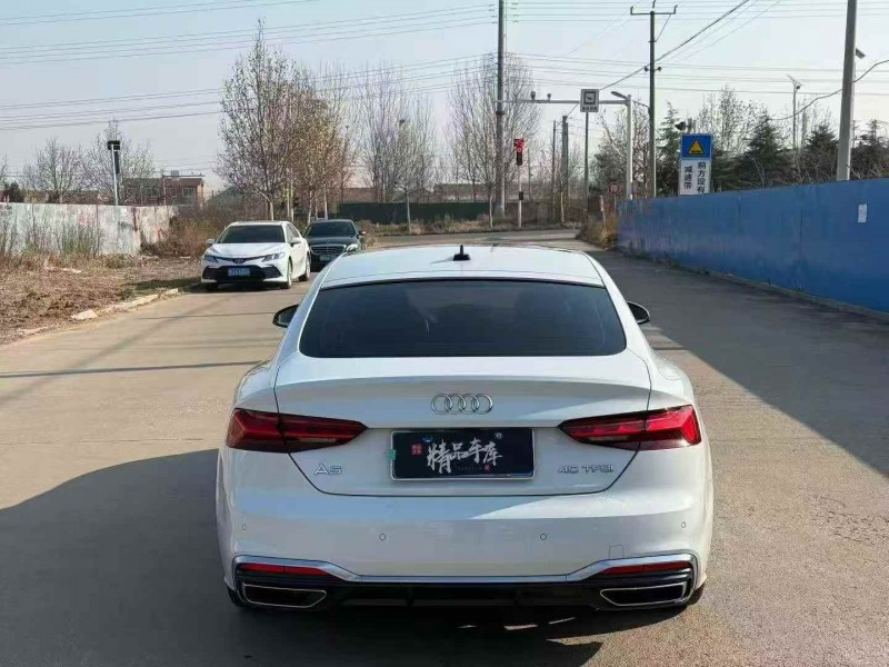 淄博21年奥迪A59