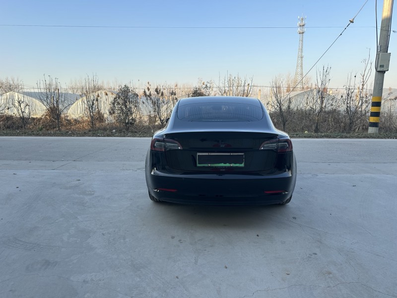 徐州20年特斯拉MODEL 39