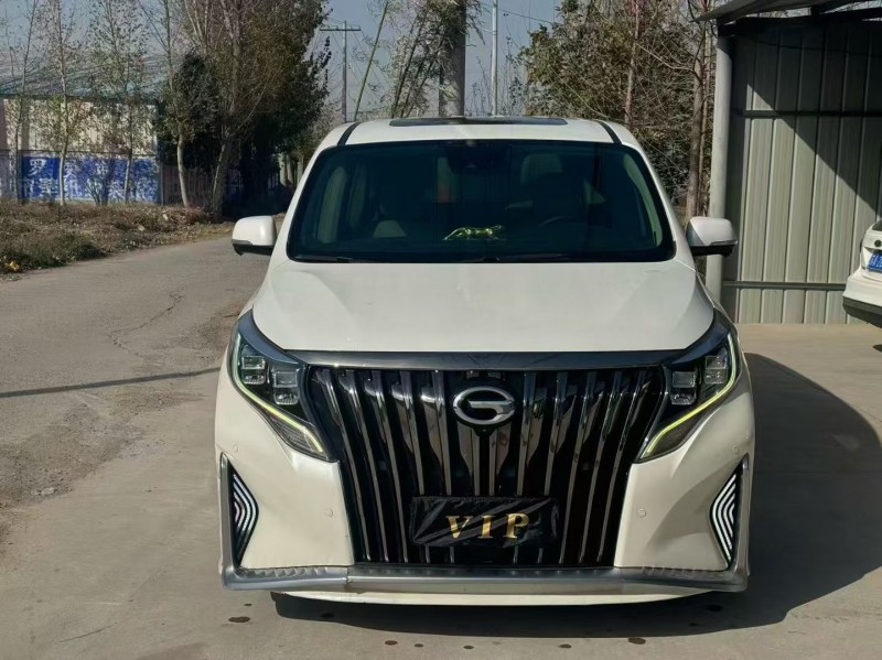 新乡19年传祺M8/GM81