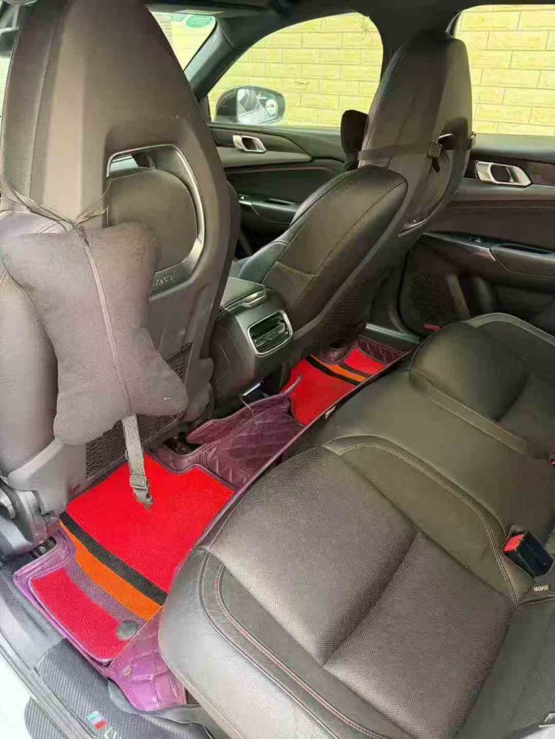 衡阳19年领克034