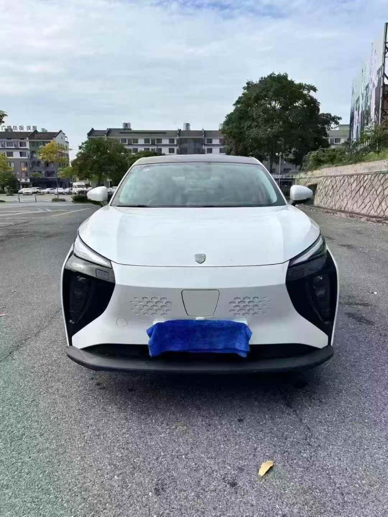 温州24年东风风行1