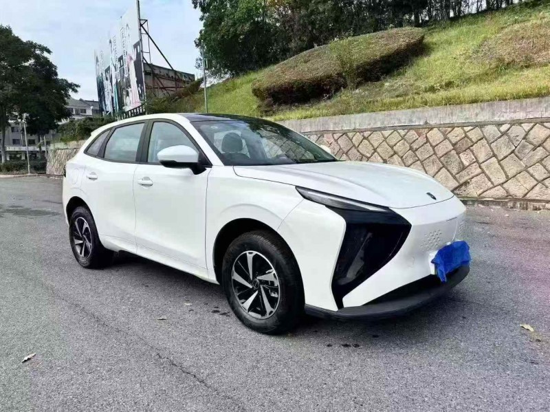 温州24年东风风行2